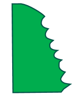 Datei:Blattrand gezaehnt-SRothbauer.png