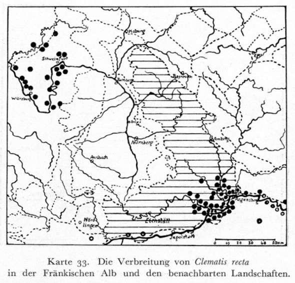 Datei:Gauckler.jpg