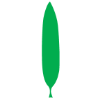 Datei:Blatt linear.png