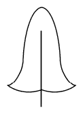 Datei:AquMakroph p08-Abb-1-5e Blattform spießförmig Dagmar Wassong.png