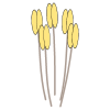 Datei:Flower 5 anthers.png