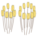 Datei:Flower 7-10 anthers.png