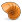 Palaeontologie