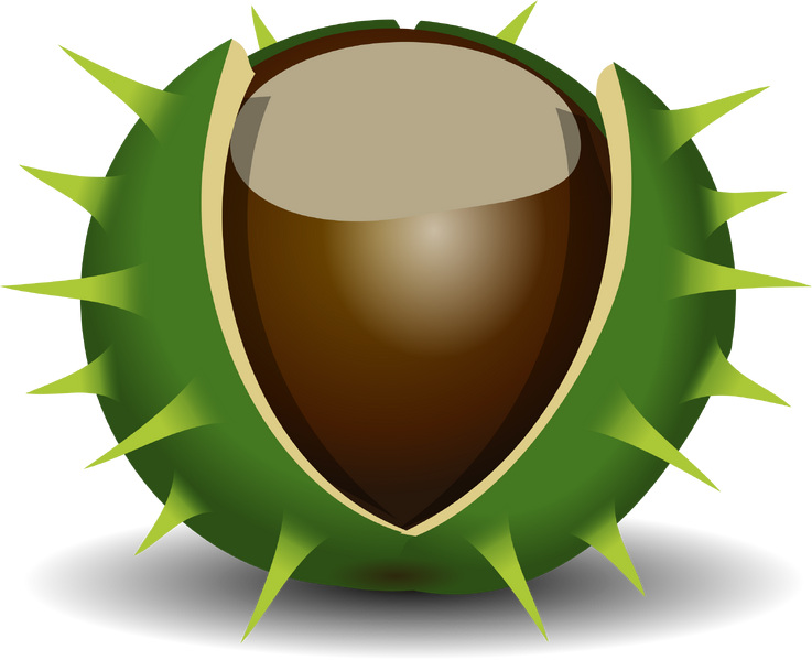 Datei:Openclipart nut Chestnut.png