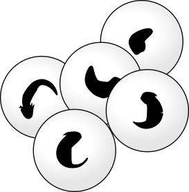 Datei:Frog-spawn-Rana-temporaria-11d.svg