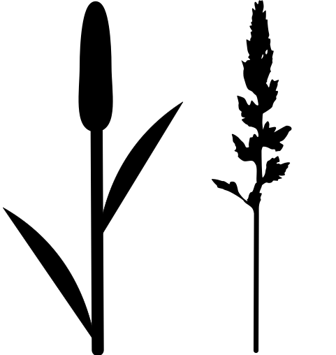 Datei:Grass pictogram.svg