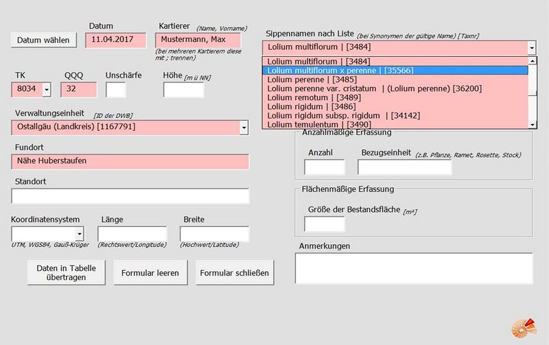 Datei:Excel Formular.jpg