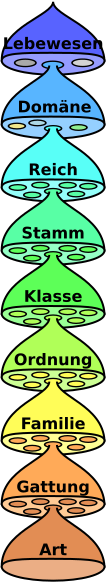 Datei:Biological classification de.svg