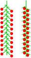 Vorschaubild der Version vom 14:20, 13. Mär. 2026