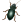 Käfer