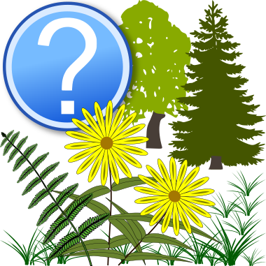 Datei:Determination logo plants question.svg