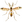 Diptera/Mücken