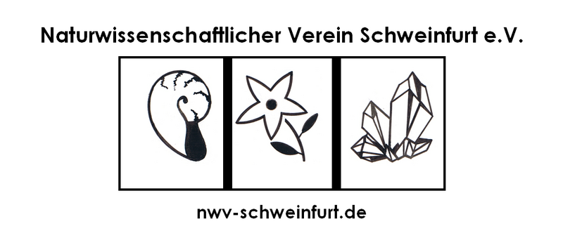 Datei:Logo nvs.png