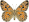 Schmetterlinge