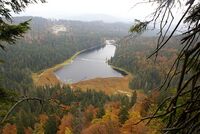 Großer Arbersee