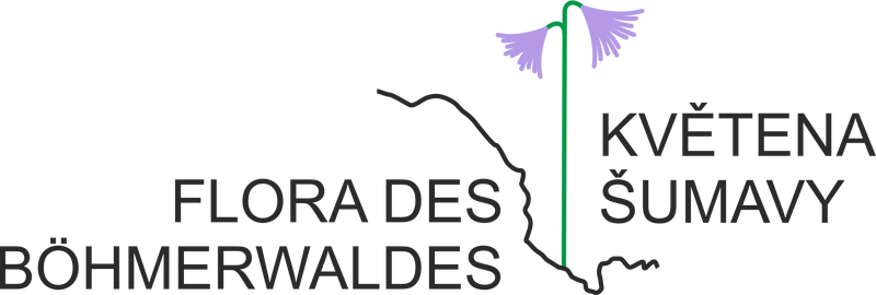 Datei:Final flora.png