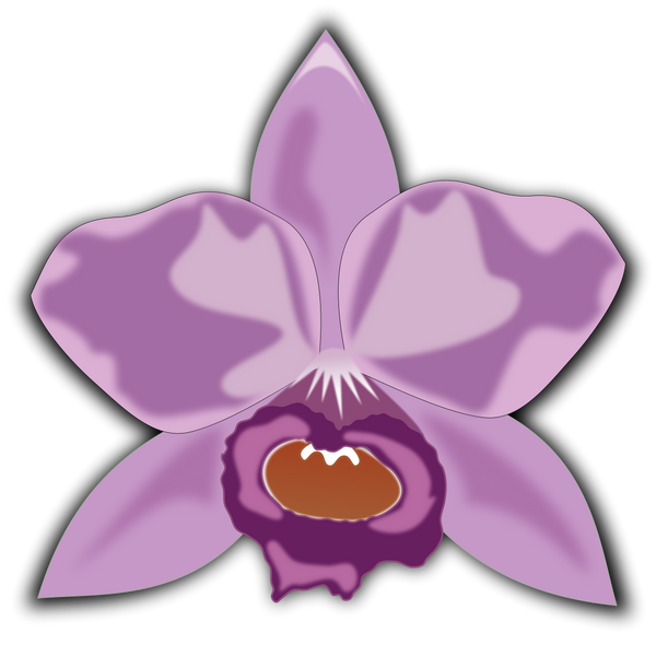 Datei:Openclipart orchid cattleya-01.png