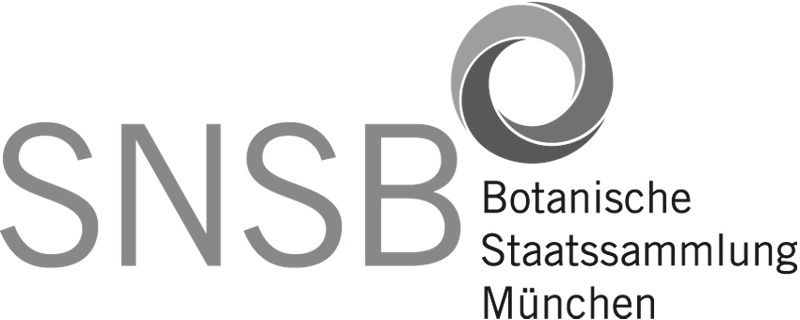 Datei:Bot-staatss-muc-wbm-grau.png