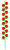 ungeteilt