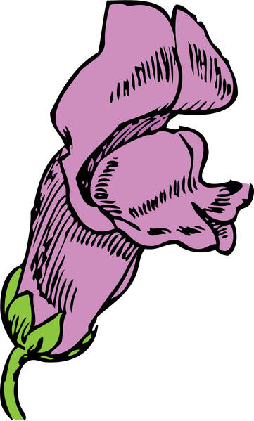 Datei:Openclipart plantjohnny automatic snapdragon.png
